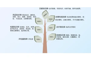 智慧医疗大模型解决方案